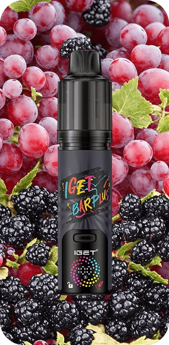 IGET BAR PLUS V4 (15000 PUFFS) Blackberry Grape