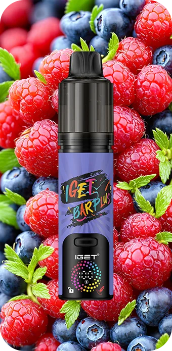 IGET BAR PLUS V4 (15000 PUFFS) Blueberry Raspberry