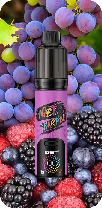 IGET BAR PLUS V4 (15000 PUFFS) Grape Berry