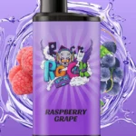 IGET BAR PRO (10000 PUFFS) Raspberry Grape