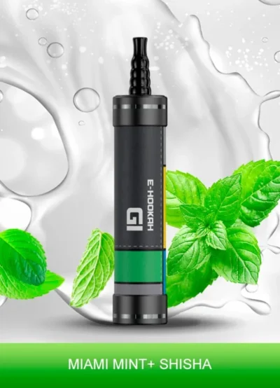 IGET E-HOOKAH G1 (60000 PUFFS) Miami Mint