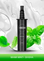 IGET E-HOOKAH G1 CARTRIDGE (60000 PUFFS) Miami Mint