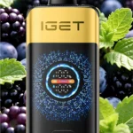 IGET FALCON (25000 PUFFS) Black Forest