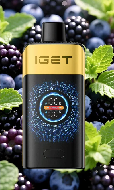 IGET FALCON (25000 PUFFS) Black Forest