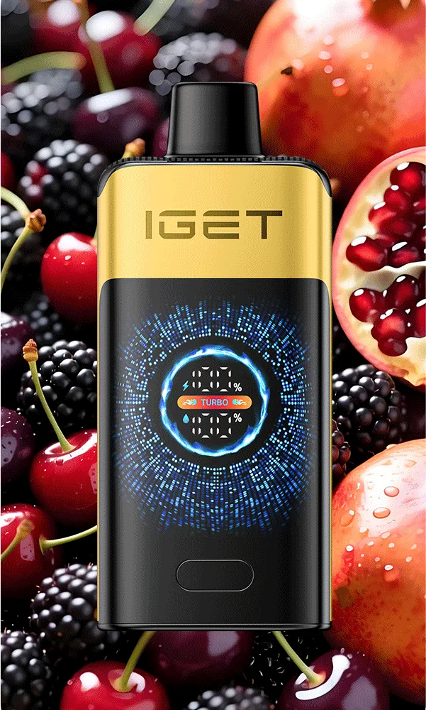 IGET FALCON (25000 PUFFS) Blackberry Cherry Pomegranate IGET FALCON (25000 PUFFS) Blackberry Cherry Pomegranate