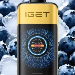 IGET FALCON (25000 PUFFS) Blueberry Ice