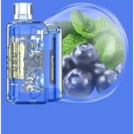 IGET FLARE B10000 Blueberry Mint