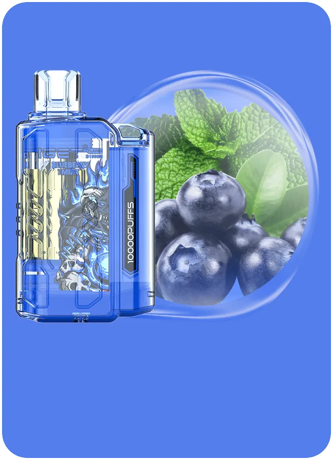 IGET FLARE B10000 Blueberry Mint IGET FLARE B10000 Blueberry Mint - Image 1