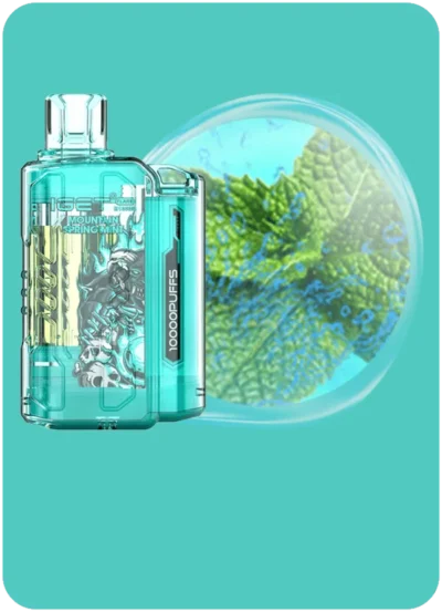 IGET FLARE B10000 Mountain Spring Mint