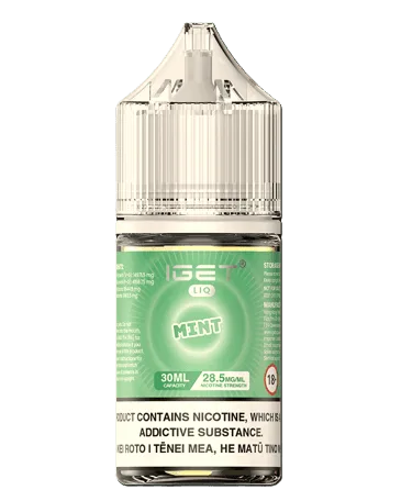 IGET LIQ (10000 PUFFS) Mint