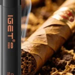 IGET MINI K800 Golden Tobacco