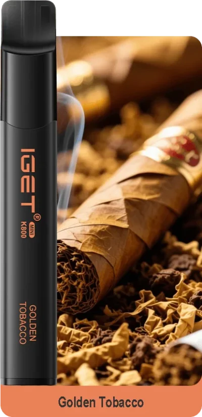 IGET MINI K800 Golden Tobacco