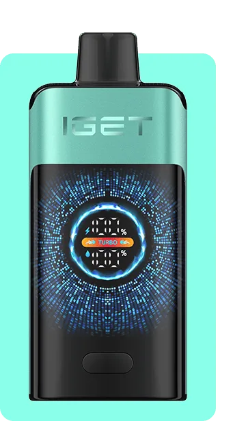 IGET ONE (12000 PUFFS) Mountain Spring Mint Ice