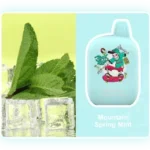 IGET ROCK B5000 Mountain Spring Mint