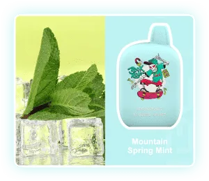 IGET ROCK B5000 Mountain Spring Mint