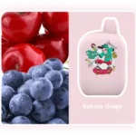 IGET ROCK B5000 Sakura Grape