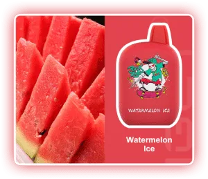 IGET ROCK Watermelon Ice