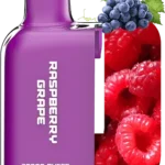 IGET SUN KP20000 POD Raspberry Grape